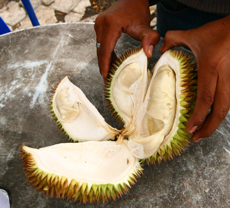 durian