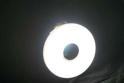 ringflash firing